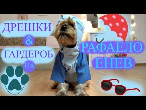 Видео: My Dog's Wardrobе/Asya Eneva/Дрешките на Моя Рафи/Ася Енева