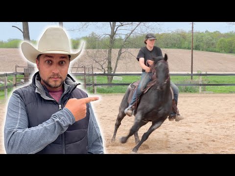 Видео: Проблемная Лошадь: Очень Жутко!