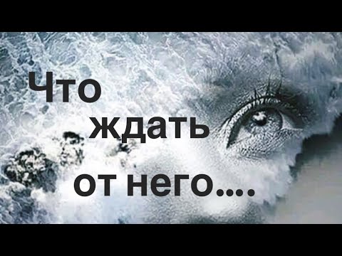 Видео: Что ждать от него….🚶🏼‍➡️🏃🏼‍➡️🐌✈️🌙☀️👀❤️