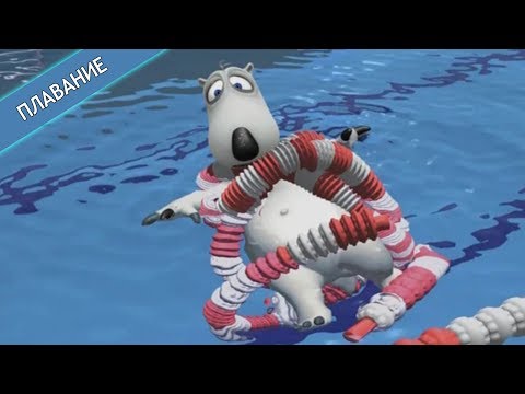 Видео: БЕРНАРД: Плавание