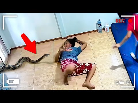 Видео: 100 НЕВЕРОЯТНЫХ МОМЕНТОВ, СНЯТЫХ НА КАМЕРЫ НАБЛЮДЕНИЯ