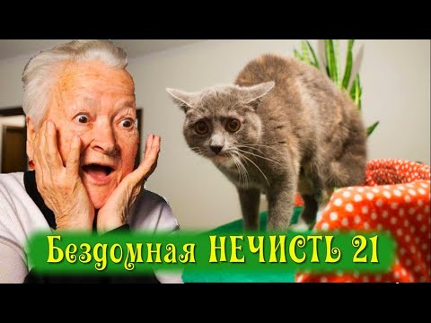 Видео: Бездомная НЕЧИСТЬ 21. «ПрОклятое это место! Страшно выходить во двор даже!» - охала старушка