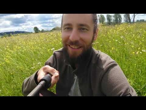 Видео: Ба Цзы - ДЕРЕВО ИНЬ - типы личности