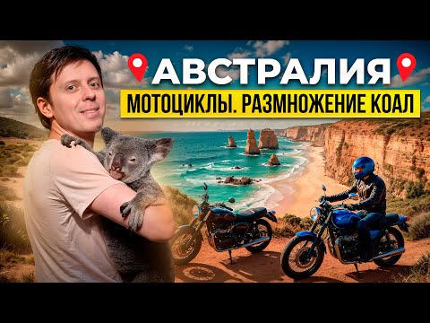 Видео: Австралия на машине: Размножение коал и Мотоциклы!