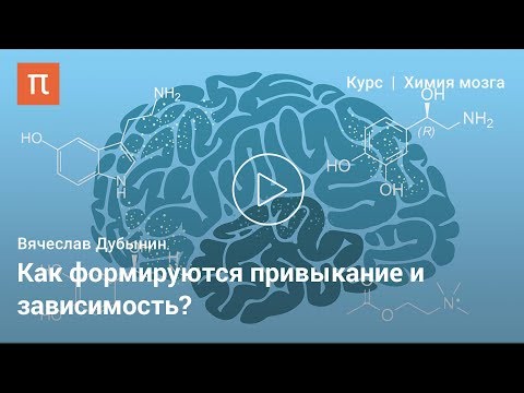 Видео: Гистамин и анандамид — Вячеслав Дубынин