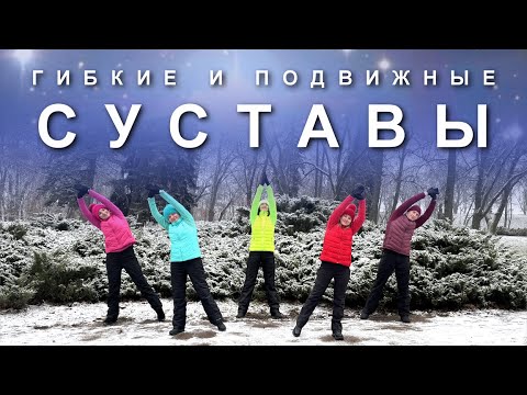 Видео: ГИБКОСТЬ, ПОДВИДЖНОСТЬ и ПЛАСТИКА СУСТАВОВ