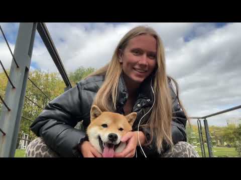 Видео: Многоходовочная материализация #1 • доверяй процессу!