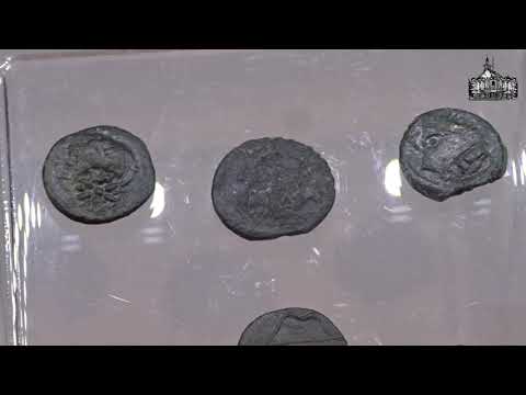 Видео: Клад боспорских монет #Боспорскоецарство #Археология #Античность