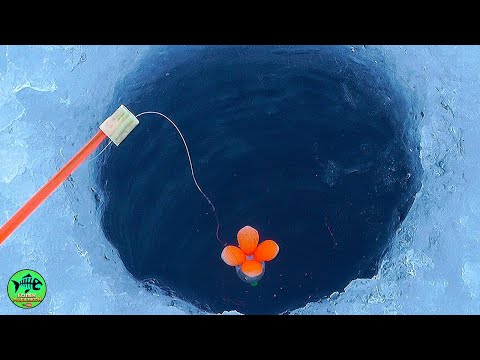 Видео: ЗАКОРМИЛ ЛЕЩА НА ЯМЕ.... Зимняя рыбалка 2024.