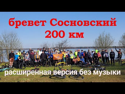 Видео: БРЕВЕТ СОСНОВСКИЙ расширенная версия 28.04.2024