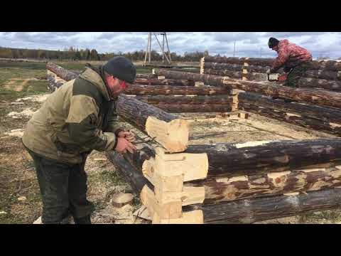 Видео: Сруб бани в лапу