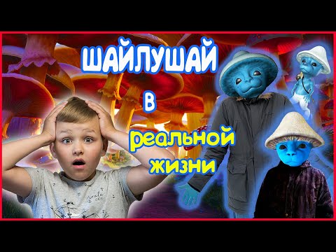 Видео: ШАЙЛУШАЙ В РЕАЛЬНОЙ ЖИЗНИ (ВСЕ СЕРИИ)