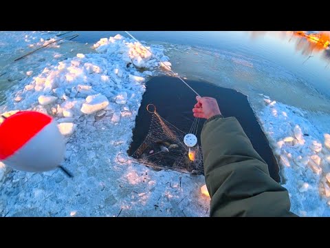 Видео: ПОРВАЛ ВСЕ ХАПУГИ, НО РЫБЫ ПОЙМАЛ! Весенняя рыбалка на хапуги в сибирской деревушке. Рыбалка 2023
