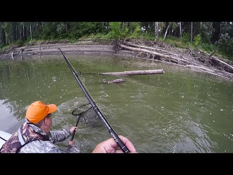 Видео: Три заброса-ТРИ КРОКОДИЛА!!! Попали на выход КРУПНОЙ щуки! РЫБАЛКА удалась