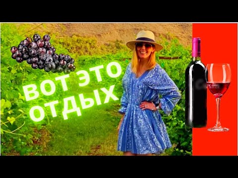 Видео: 4 Дня На Винодельнях Колорадо/Ночевка На Виноградниках/Harvest Hosts