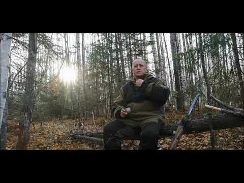 Видео: Охота с эстонской гончей на зайца.
