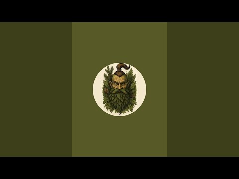 Видео: У каналі Вова Леший відбувається прямий ефір.