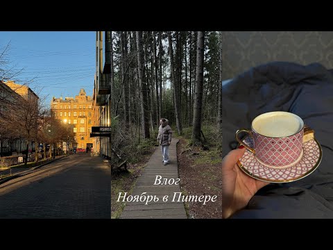 Видео: влог | ноябрь в питере | экотропа в комарово | мои свечи - я бизнесменша?