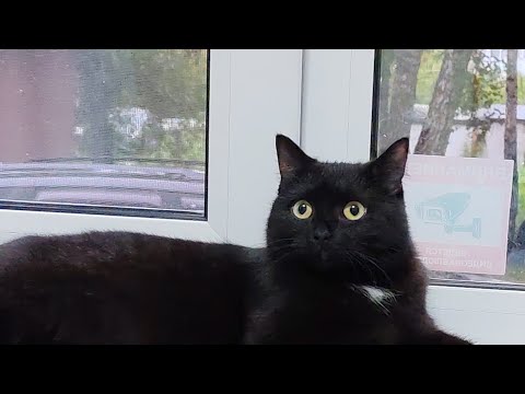 Видео: Осень пришла