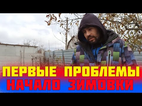 Видео: Начало зимовки пчел. Как не допустить ошибок в начале зимовки пчел. подготовка к зимовке пчел осенью