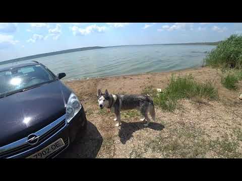 Видео: Позитивный выходной! Супер клёв карпа , такого я ещё не видел.