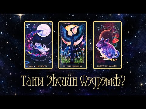 Видео: [Таро] Экс нь танд юу гэж хэлэхийг хүсэж байна вэ? ✨💜💧 (Цаглашгүй + Э.Ш. + Нэмэлт)