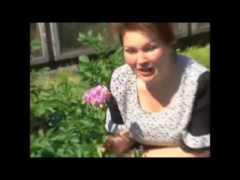 Видео: Картофель под соломой Валерии Защитиной