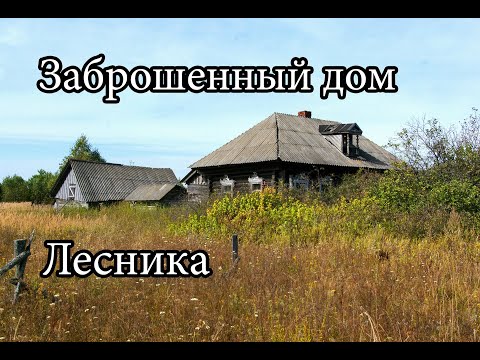 Видео: Заброшенная посреди леса деревня Шмелёвка. Заброшенный дом лесника