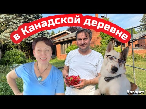 Видео: Собираем урожай// откачиваем летний мёд // ремонтируем бассейн// в канадской деревне ￼￼￼￼