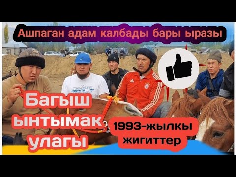 Видео: Багыш ынтымак улагы