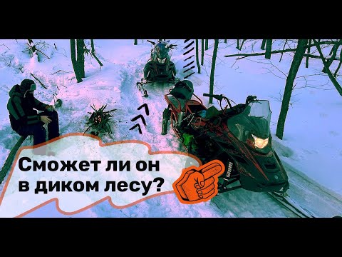 Видео: Irbis sf 200: Впечатляющий обзор!