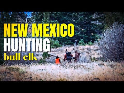 Видео: Охота на лося в суровых горах Нью-Мексико | Незабываемое приключение отца и сына