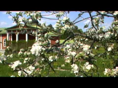 Видео: ОПТИНА ТИХАЯ:ДОРОГА К БОГУ!