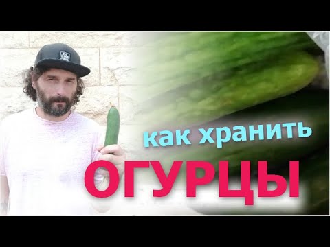 Видео: Как хранить огурцы в холодильнике чтобы не вяли, были свежие и хрустящие - правильно хранить огурцы