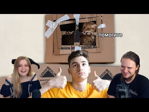 Видео: [Jiskiran с Женой смотрят] TheBrianMaps - Я построил ГИГАНТСКИЙ картонный домик для кота :]