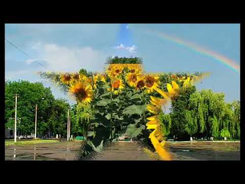 Видео: Карбонит клип