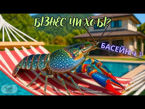 Видео: Повернення Рака в Басейн Частина 2! Важимо Малюків і Дорослого 🔥  | Бізнес на Раках з Нуля