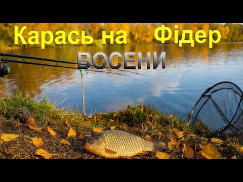 Видео: Карась на ставку!!! 🎣 Риболовля на Фідер ВОСЕНИ! ⚠️ 