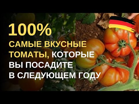 Видео: Дача в Германии. Самые любимые, сладкие и вкусные сорта томатов по совету опытных дачников