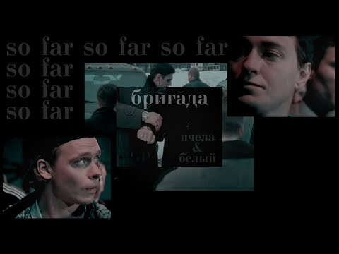 Видео: so far [бригада, пчела & белый]