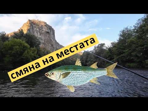 Видео: СЛЕД АРДА ДОЙДЕ РЕД И НА...