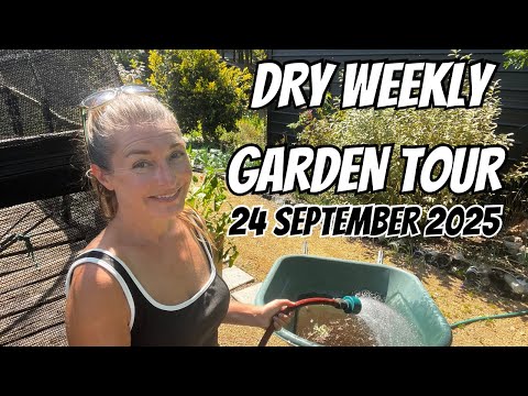 Видео: Еженедельный тур по саду 24 сентября 2025 г.