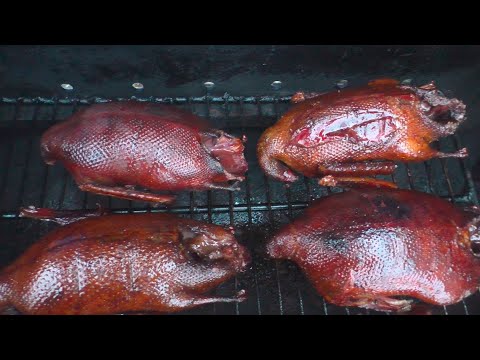 Видео: Утка горячего копчения. Копчу диких уток в самодельной коптильне.