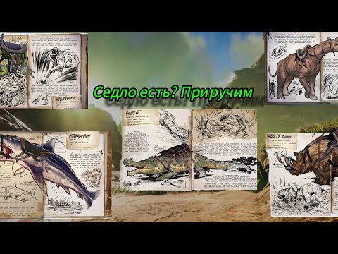 Видео: Приручаем всех на кого есть сёдла