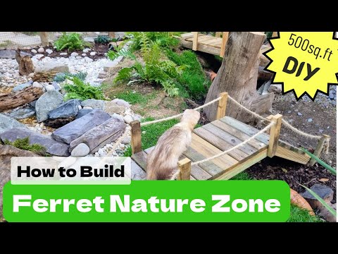 Видео: Строительство вольера для хорьков NATURE площадью 500 кв. футов