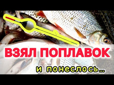 Видео: Ловля на поплавочную удочку в проводку на течении. Подбор места, удочка, леска, поплавок, прикормка