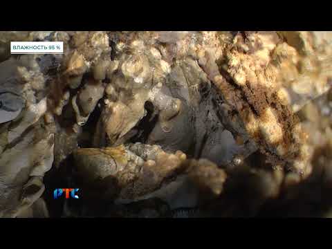 Видео: СТРАНА КУРГАНОВ (Бородинская пещера)