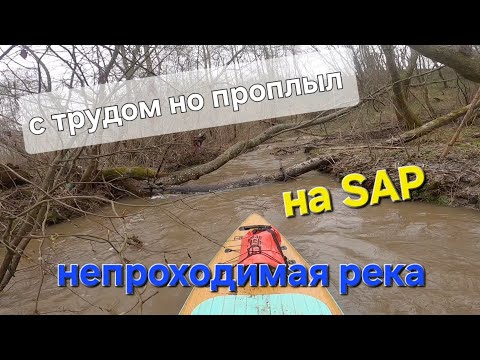 Видео: На SAP борде пробираюсь по лесной реке!