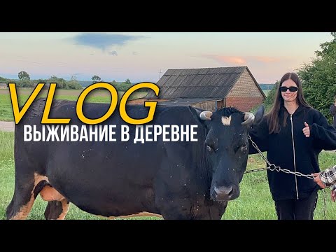 Видео: VLOG. Выживание в деревне. Напала злая корова!??? 2 часть