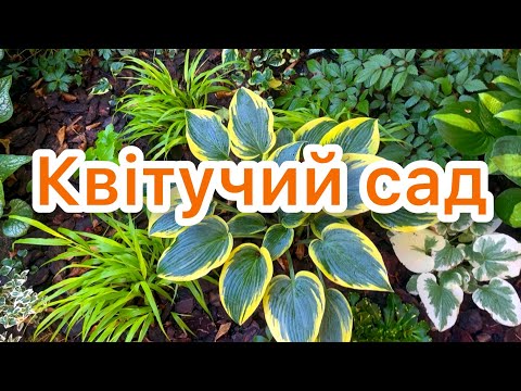 Видео: КВІТУЧИЙ САД. БОРОТЬБА зі СЛИМАКАМИ. НОВИНКИ. 🧡🌿